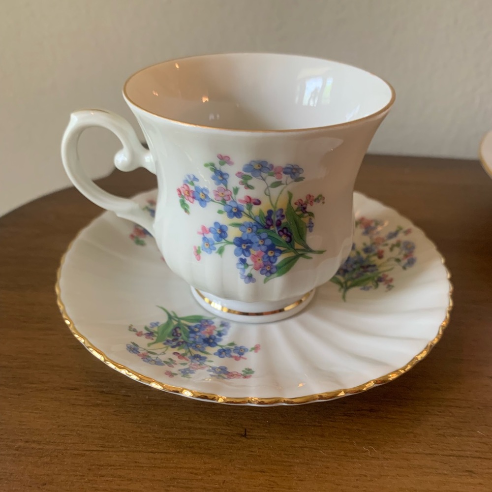 Seltmann Fine Bone China Tea cup and Saucer